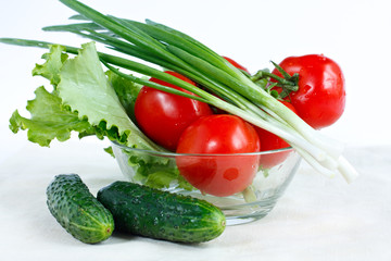 Fresh tomatoes, cucumber, lettuce, green onions in a salad-bowl