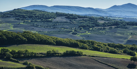 Fototapeta premium Pienza - Tuscany/Italy, October 30, 2016: Scenic Tuscany landscape with rolling hills and valleys in autumn, near Pienza - Val D'Orcia, Italy 