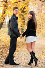Young beautiful couple in love holding hands of autumn park