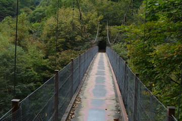 Obraz premium 吊り橋