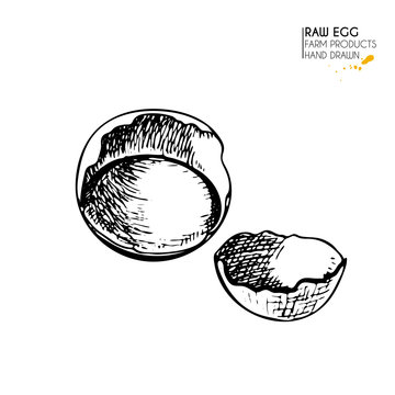 Vector hand drawn set of farm products. Isolated hen scrumbled egg. Engraved art. Organic sketched farming meal.