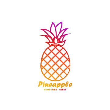 Template logo for pineapple tropical fruit