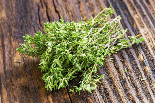 Fresh thyme herb
