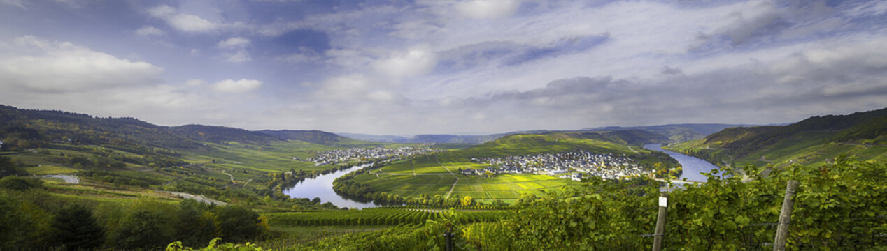 Moselschleife bei Trittenheim