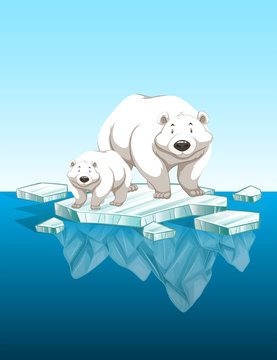 Mother polar bear and cub on ice