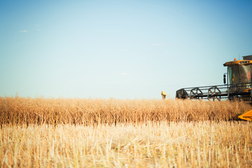 Fototapeta premium Agricultura machine working in fields