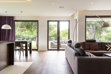 Classically elegant living room with sofa