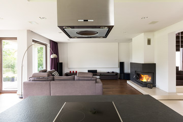 Living room with fireplace