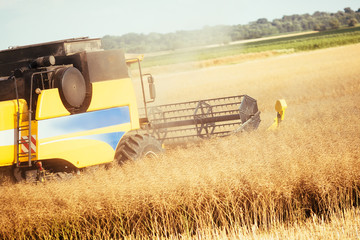 Agricultura machine working in fields