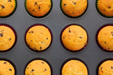 Berry muffins in baking mold
