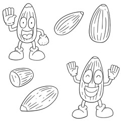 vector set of almond cartoon