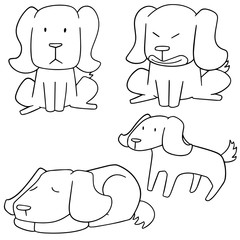 vector set of dog, labrador retriever