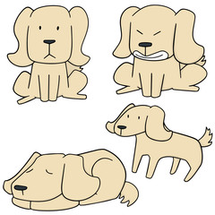 vector set of dog, labrador retriever