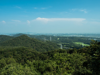 夏の道