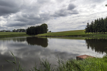 Pond in the woods before the storm