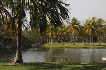Florida