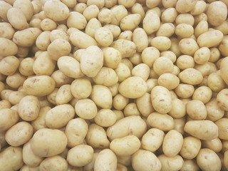 potato