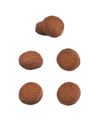 Fresh baked ginger cookie isolated