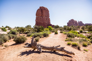 Arches National Park © Appropriate_man