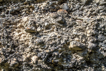 Rocky ground as a background