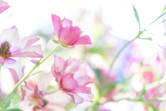 ガラス細工 の画像 21 229 件の Stock 写真 ベクターおよびビデオ Adobe Stock