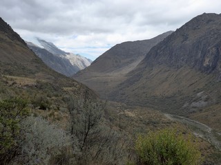 Thick shrubs on the mountain side above a deep valley in central Peru. 