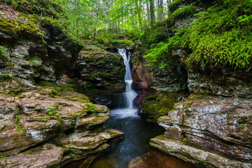 Obraz premium Adam's Falls, at Ricketts Glen State Park, Pennsylvania.