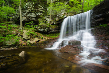 B. Reynold's Falls, at Ricketts Glen State Park, Pennsylvania.