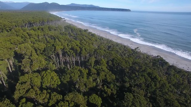 Aerial view of Bruce Bay with forest and sandy beach, New Zealand