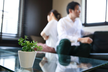 観葉植物と夫婦喧嘩のイメージ
