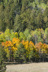 Fototapeta premium Autumn Colors in the Mountains