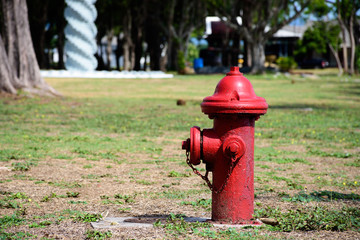 Fototapeta na wymiar Old red fire hydrant in grass field