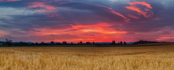 Amazing sunrise over a cereal field