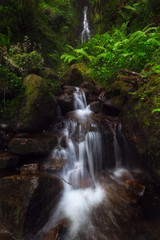 Obraz premium Waterfall in Gorbea Natural Park forest