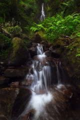 Waterfall in Gorbea Natural Park forest