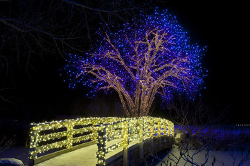 Christmas Lights on Farm Tree and Bridge