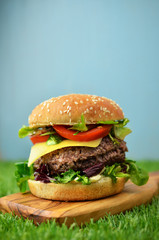 Fresh urger with cheese on grass.