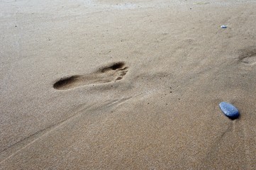 Step in vacation