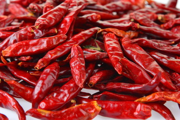 The chili of isolated on a white background