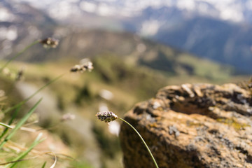 Natur-kitzbühel-Berge