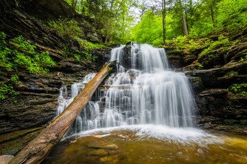Shawnee Falls, at Ricketts Glen State Park, Pennsylvania.
