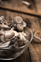 oyster mushroom with plate on wood

