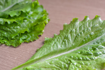 lettuce on the table