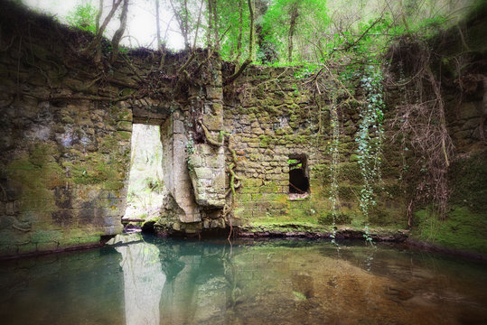 Ancient ruins covered by vegetation, Barbarano Romano, Rome