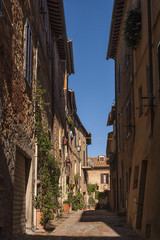 Fototapeta na wymiar Beautiful narrow street in the small magical and old village of Pienza, Val D'Orcia Tuscany - Italy