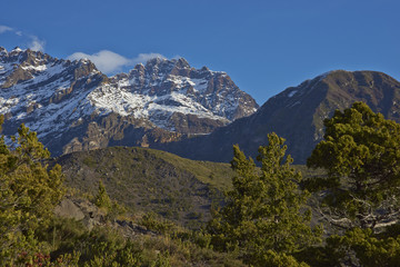 Fototapeta na wymiar Mountain Sierra Velluda (3,585 m) rising above forested hillsides in Laguna de Laja National Park in the Bio Bio region of Chile.