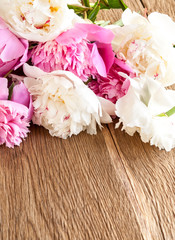 Colored peonies background