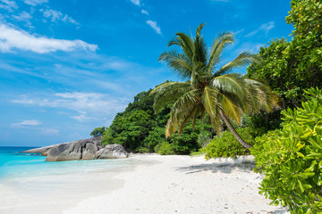 Beautiful view with blue sky and clouds, blue sea and white sand beach with coconut tree on Similan island, No.8 at Similan national park, Phuket, Thailand is most popular for tourist.