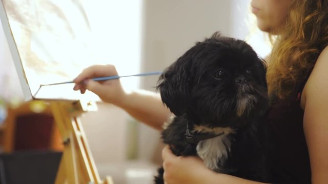 Dog watching over artist while painting on canvas 4K