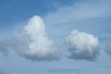 Group white cloud Before clinging to a cloud of rain.